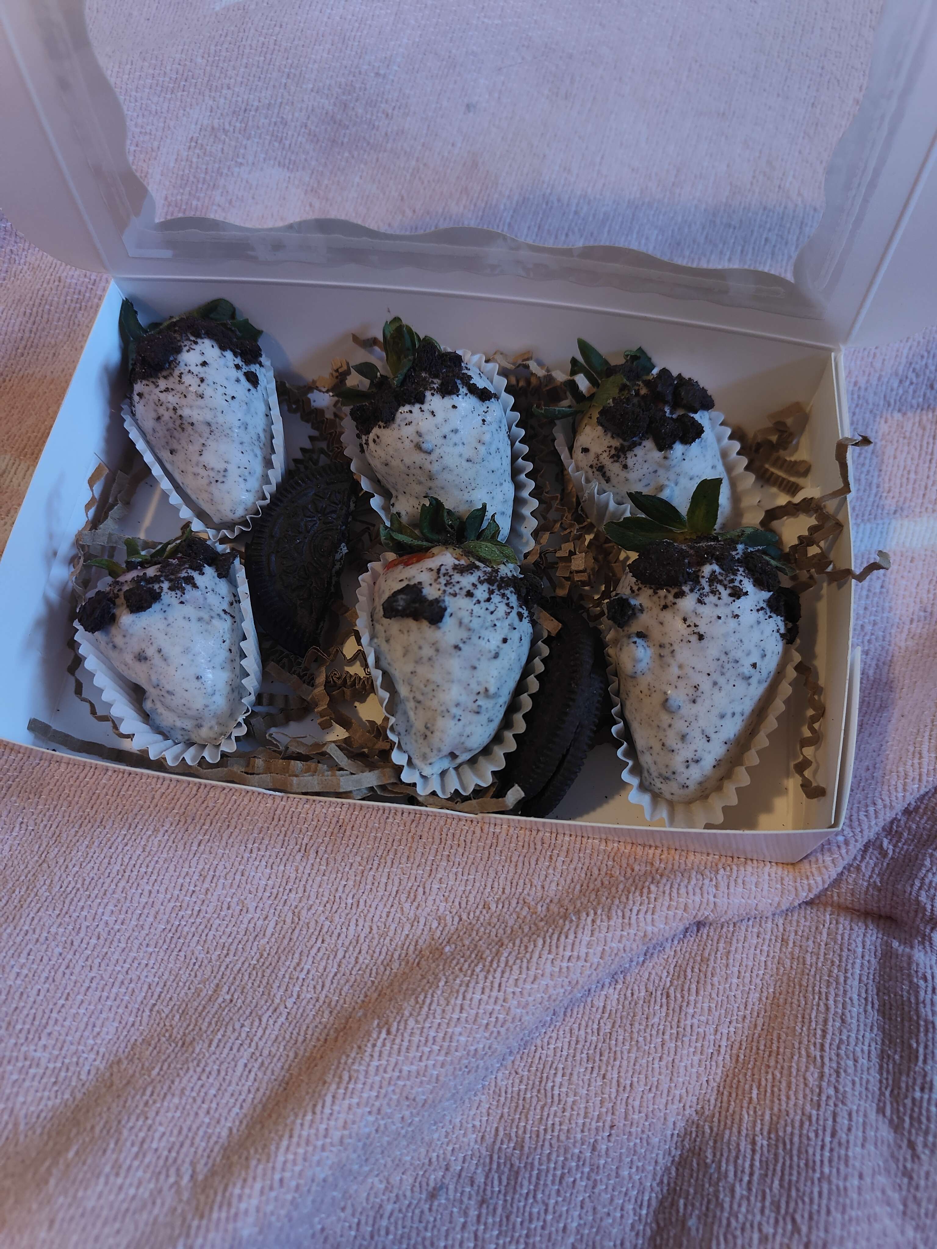 IMG20260128091609 - Copy.jpg